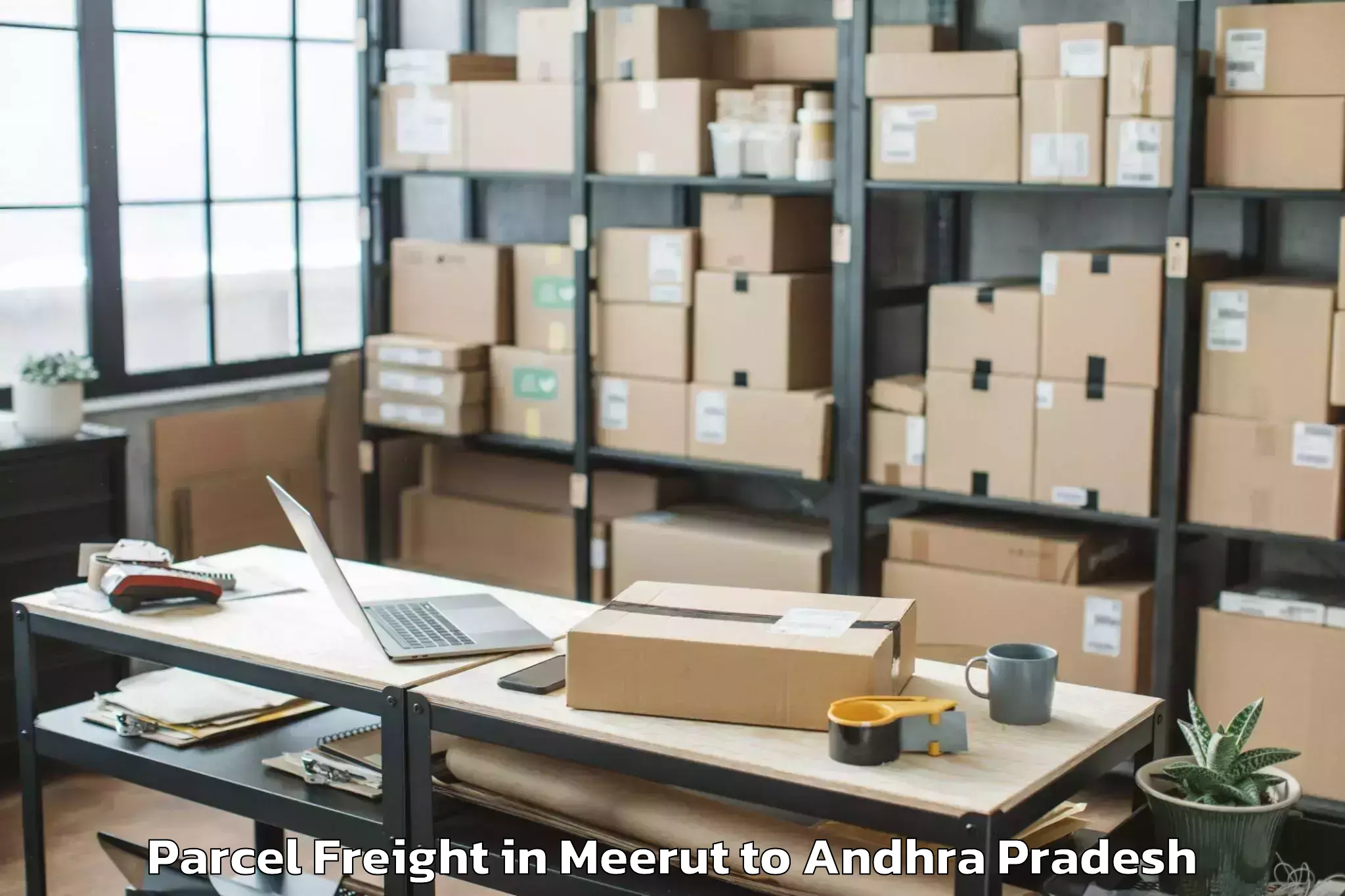 Meerut to Pittalavanipalem Parcel Freight